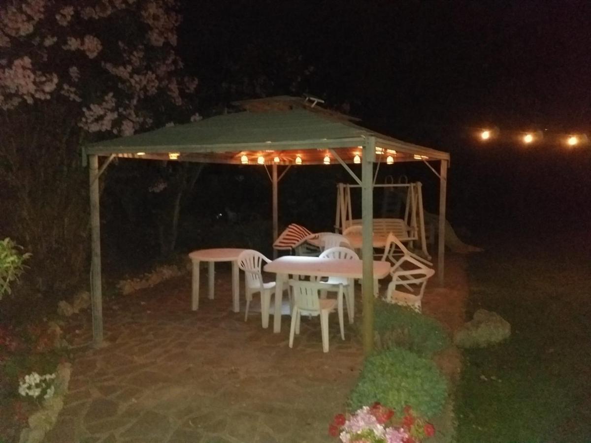 Apartament Garden Basement - Seminterrato Max 4 Ospiti - Fiumicino Vicino Aeroporto E Fiera Zewnętrze zdjęcie