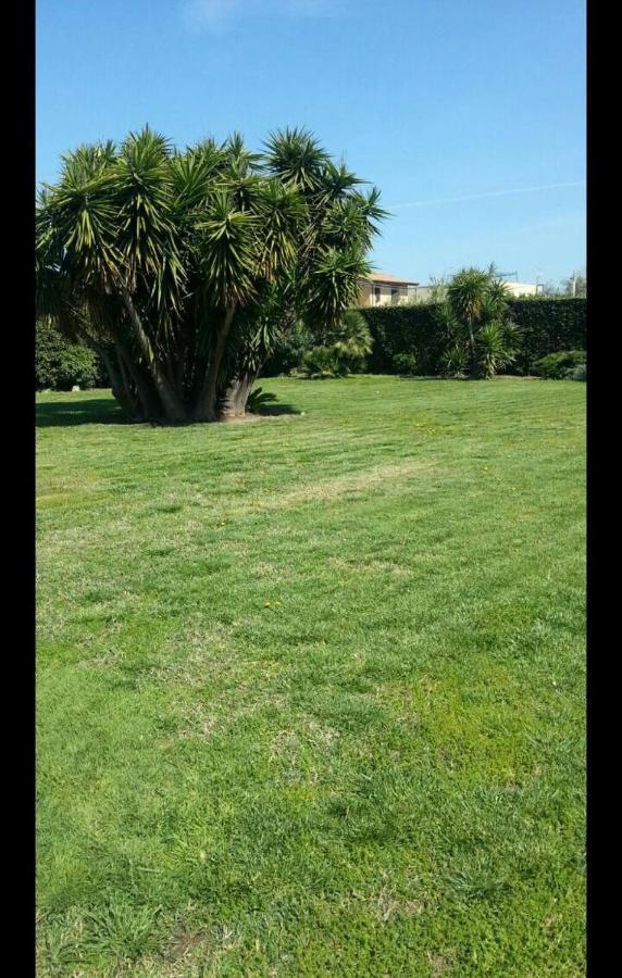Apartament Garden Basement - Seminterrato Max 4 Ospiti - Fiumicino Vicino Aeroporto E Fiera Zewnętrze zdjęcie